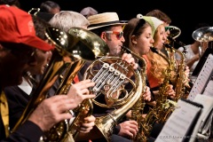 Lyre de Vevey