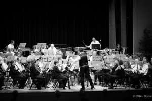 Concert annuel 2014