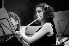 Lyre de Vevey