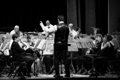 Lyre de Vevey