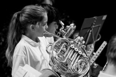 Lyre de Vevey