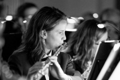 Lyre de Vevey