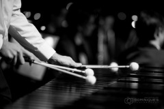 Lyre de Vevey