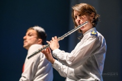 Lyre de Vevey