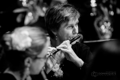 Lyre de Vevey