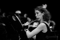 Lyre de Vevey