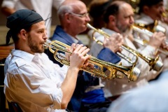 Lyre de Vevey