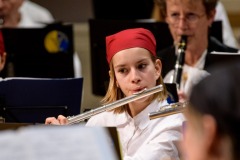 Lyre de Vevey