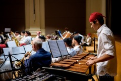 Lyre de Vevey