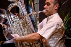 Lyre de Vevey