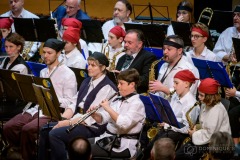 Lyre de Vevey