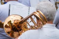 Lyre de Vevey