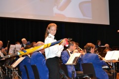 INAUGURATION DRAPEAU 2015