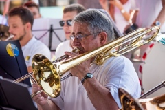 Lyre de Vevey