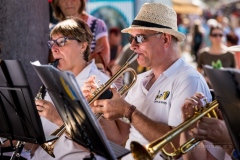 Lyre de Vevey