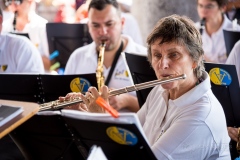 Lyre de Vevey
