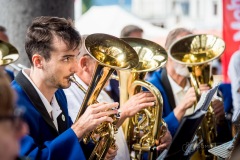 Lyre de Vevey