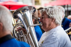 Lyre de Vevey