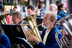 Lyre de Vevey