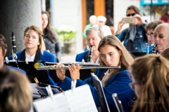 Lyre de Vevey