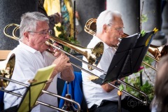 Lyre de Vevey