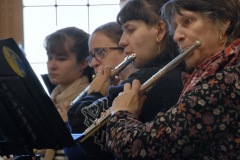DSE_1496