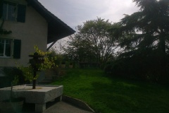 Foto0041
