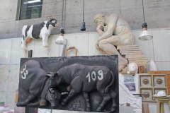 IMG_1746